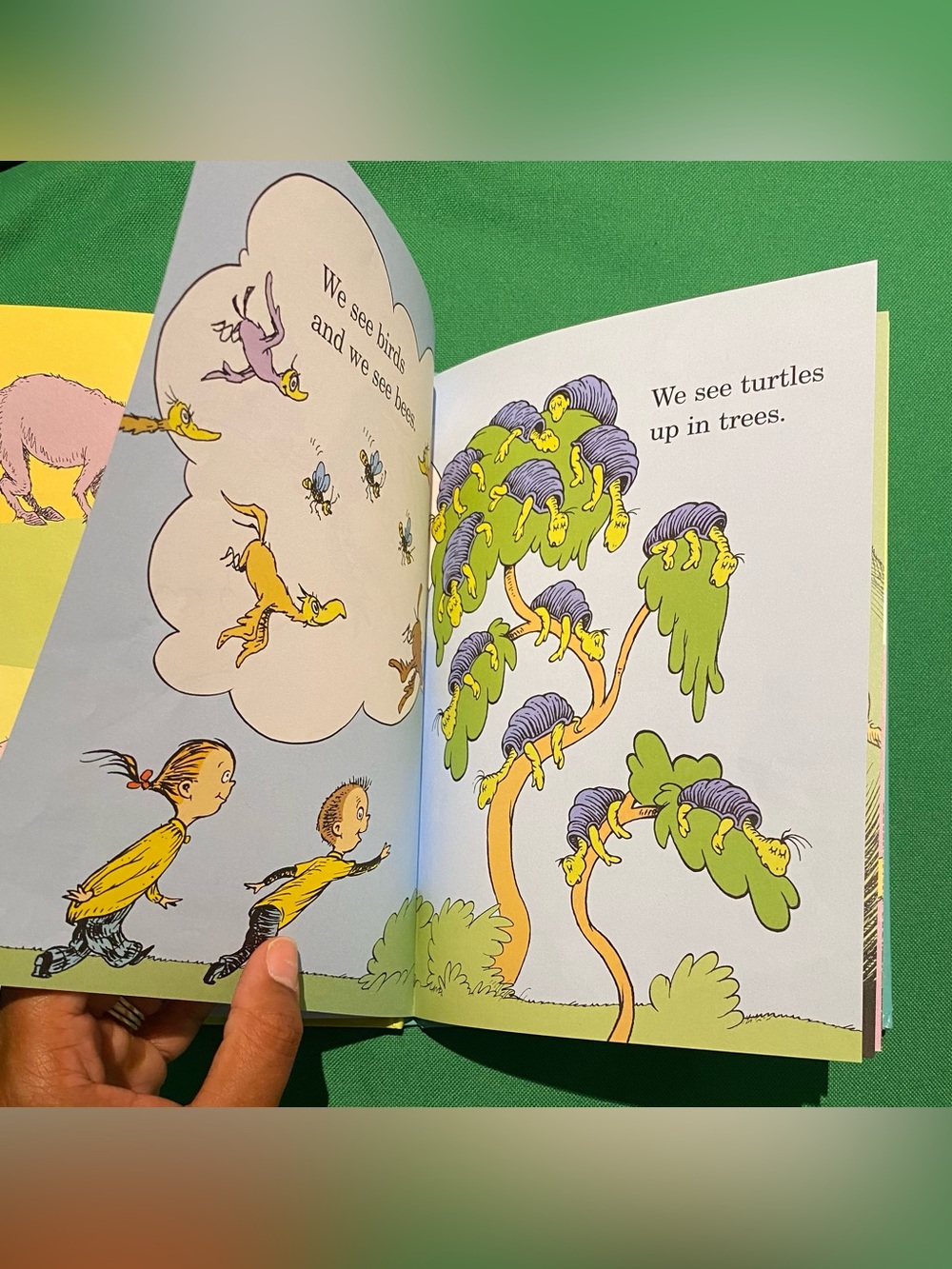 Dr. Seuss Teal & Yellow Children's Picture Book Pair - Picture 15 of 15